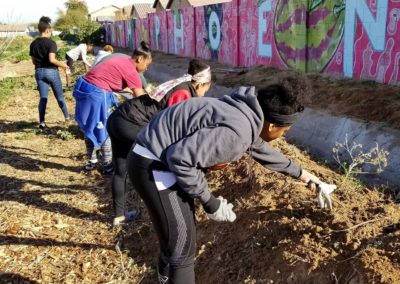 Phoenician youth help dig, plot and plant a tree garden