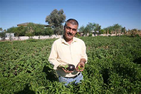 Hussein Hussein